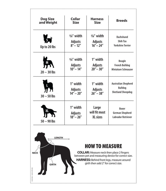 Personalized Pet Collar - US 3095