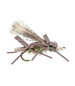 Amy's Ant Dennis 2 Pack - US 3638