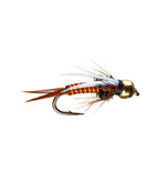 Hot Wired Prince Tungsten 2 Pack - US 0473