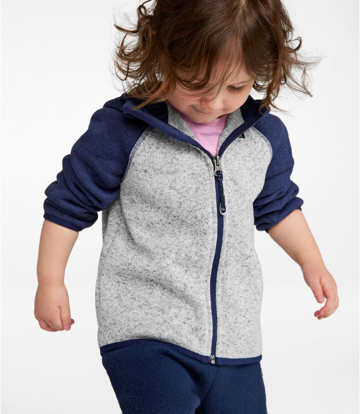 Infants' and Toddlers' L.L.Bean Sweater Fleece, Hooded Colorblock - US 2725