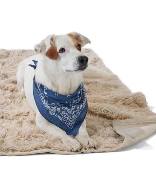 Plush Cuddler Dog Blanket - US 8823
