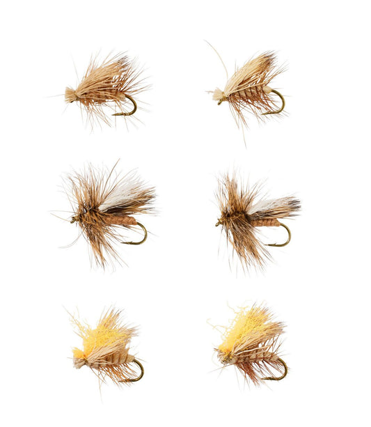 Umpqua Caddis Dry Fly Assortment, 6 flies - US 5057