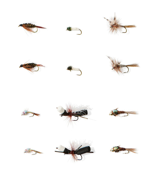Umpqua Essential Eastern Trout Fly Assortment, 12 flies - US 9430