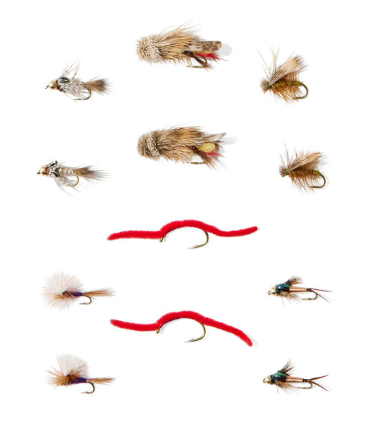 Umpqua Essentials Trout Fly Assortment, 12 flies - US 6984