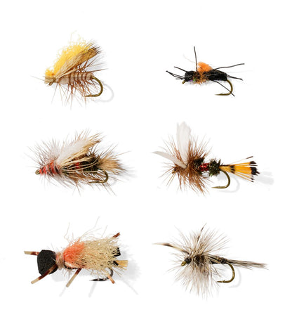 Umpqua Classic Pocket Water Dry Fly Assortment, 6 flies - US 0195